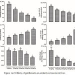 Figure 1a-f: Effects of gatifloxacin on oxidative stress in rat liver.