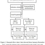Figure 1: Research flow chart, that showed from January-December 2017, total 50 patients who participated in this study, but only 36 patients finished the procedure.