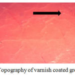 Figure 10: Topography of varnish coated group
