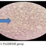 Figure 4: PA2HEME group