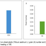 Figure 2: Effect of EDU on wheat plants (Triticum aestivum L.) grain (A) number and (B) weight. Each figure is a mean of 109 reading ± 1SE.