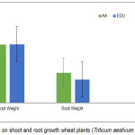 Figure 3: Effect of EDU on shoot and root growth wheat plants (Triticum aestivum L.). (Means ± 1SE).