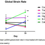 Figure 3: Mean (±SEM) global strain rate in mice treated with trastuzumab (100 μg; twice-weekly)