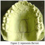 Figure 2: represents flat tori