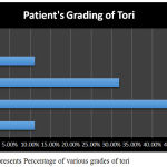 Graph 4 represents Percentage of various grades of tori