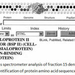 Figure 4: Results of mass spectrometer analysis of fraction 15 dentin gel sample shown in BLAST program, for identification of protein amino acid sequence (NCBI).
