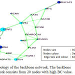 Figure 3: Topology of the backbone network. The backbone network consists from 20 nodes with high BC value.