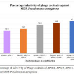 Figure 4: Percentage of infectivity of Phage cocktails of AP006, AP025, AP011, AP067 and AP002 against MDR Pseudomonas aeruginosa.