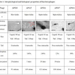 Table 3: Morphological and biological properties of Bacteriophages