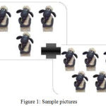 Figure 1: Sample pictures