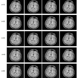 An Efficient Image Denoising Scheme for Higher Noise Levels using ...