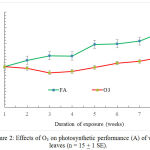 Figure 2: Effects of O3 on photosynthetic performance (A) of wheat leaves (n = 15 + 1 SE).