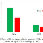 Figure 4: Effects of O3 on photosynthetic pigments (Chl a and Chl b). (Means are replica of 10 readings + 1 SE).