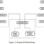 Figure 3: Proposed Methodology
