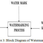 Figure 3: Block Diagram of Watermarking