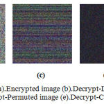 Figure 5: Decryption Results (a). Encrypted image (b). Decrypt-Diffused image (c). Decrypt-Bitxored image (d). Decrypt-Permuted image (e). Decrypt-Confused image.