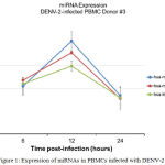 Figure 1. Expression of miRNAs in PBMCs infected with DENV-2