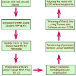 Scheme 1: Flow chart depicting different steps in the transcriptome analysis.