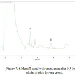 Figure 7: Sildenafil sample chromatogram after 0.5 hours of administration for one group.