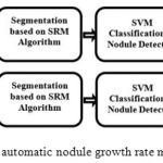 Figure 1: Block-diagram of the proposed automatic nodule growth rate measurement framework.