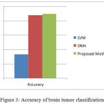 Figure 3: Accuracy of brain tumor classification.