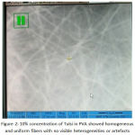 Figure 2: 10% concentration of Tulsi in PVA showed homogeneous and uniform fibers with no visible heterogeneities or artefacts.