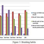Figure 3: Brushing habits.