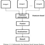 Figure 1.3: Schematic for feature level image fusion.