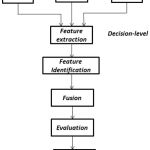 Figure 1.4: Schematic for decision level image fusion.