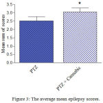 Figure 3: The average mean epilepsy scores.