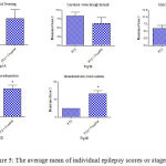 Figure 5: The average mean of individual epilepsy scores or stages.
