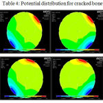 Table 4: Potential distribution for cracked bone.