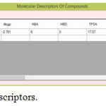Figure 3: Molecular Descriptors.