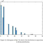 Figure 10: Histogram of fig.7 (b) shows the distribution is approximated to Rician distribution.