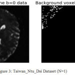Figure 3: Taiwan_Ntu_Dsi Dataset (N=1)
