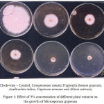 Figure 1: Effect of 5% concentration of different plant extracts on the growth of Microsporum gypseum.