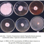 Figure 2: Effect of 10% concentration of different plant extracts on the growth of Microsporum gypseum.