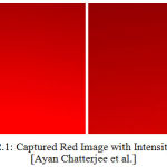 Figure 2.1: Captured Red Image with Intensity variation [Ayan Chatterjee et al.]