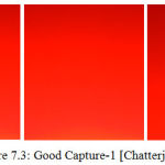 Figure 7.3: Good Capture-1 [Chatterjee et al.]