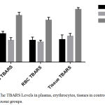 Figure 1: The TBARS Levels in plasma, erythrocytes, tissues in control and ceftriaxone groups.