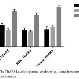 Evaluation of the Effect of Ceftriaxone on Lipid Peroxidation and ...