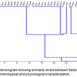 Figure 1: Dendrogram showing similarity levels between Sesbania isolates based on phenotypical and physiological characterization.