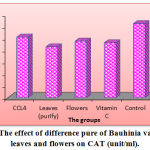 Figure 1: The effect of difference pure of Bauhinia variegate L. leaves and flowers on CAT (unit/ml).