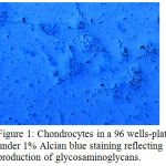 Figure 1: Chondrocytes in a 96 wells-plate under 1% Alcian blue staining reflecting production of glycosaminoglycans.