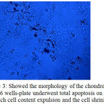 Figure 3: Showed the morphology of the chondrocytes in a 96 wells-plate underwent total apoptosis on day14, in which cell content expulsion and the cell shrinked.
