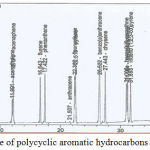 Figure 1: Standard curve of polycyclic aromatic hydrocarbons concentrations.