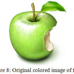 Figure 8: Original colored image of fruit.