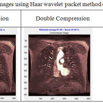 Table 5: Multiple compression images using Haar wavelet packet method (qualitative analysis).