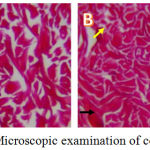 Figure 1: Microscopic examination of collagen tissue.