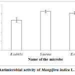 Figure 3: Antimicrobial activity of Mangifera indica L.